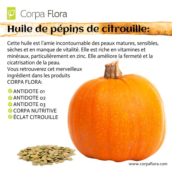 Corpaflora's tweet photo. Huile de pépins de citrouille - Un autre ingrédient clé dans les produits Corpa Flora! https://t.co/QMvxfAhCIY