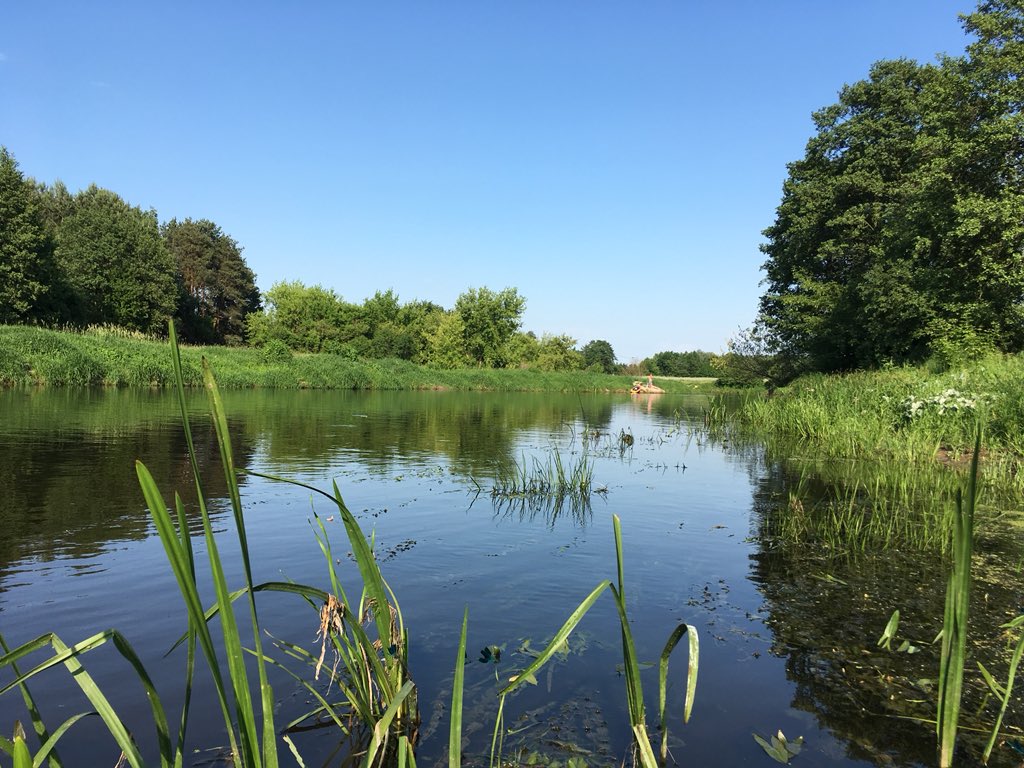 grzegorz_kita's tweet photo. Sielsko, anielsko 🚣‍♂️☀️
Moja ulubiona miejscówka kajakowa czyli rzeka #Wkra.
Tym razem odcinek Bolęcin - #Joniec. Niecała godzina od Warszawy a jakby inny świat.. 🐟🌲
ps. do wizyt na Wkrze zachęcam tak często, że chyba już oficjalnie powinienem zostać jej promotorem 😂 https://t.co/fx54r7VXIh