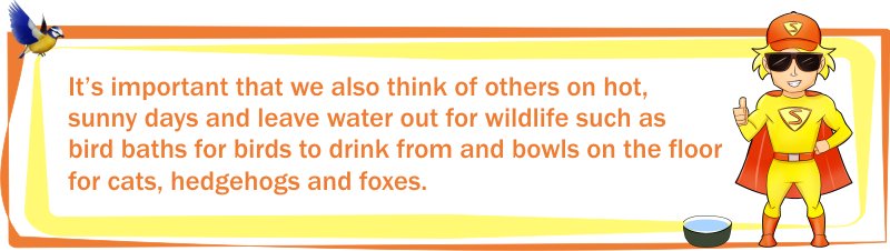 ableshademan's tweet photo. It's important we also think of others on hot, sunny days and leave water out for wildlife such as birds, hedgehogs, cats and foxes @WildlifeTrusts #sunsafetip #lookafterothers #ukedchat #sunsafety https://t.co/8ZIBisZtu7