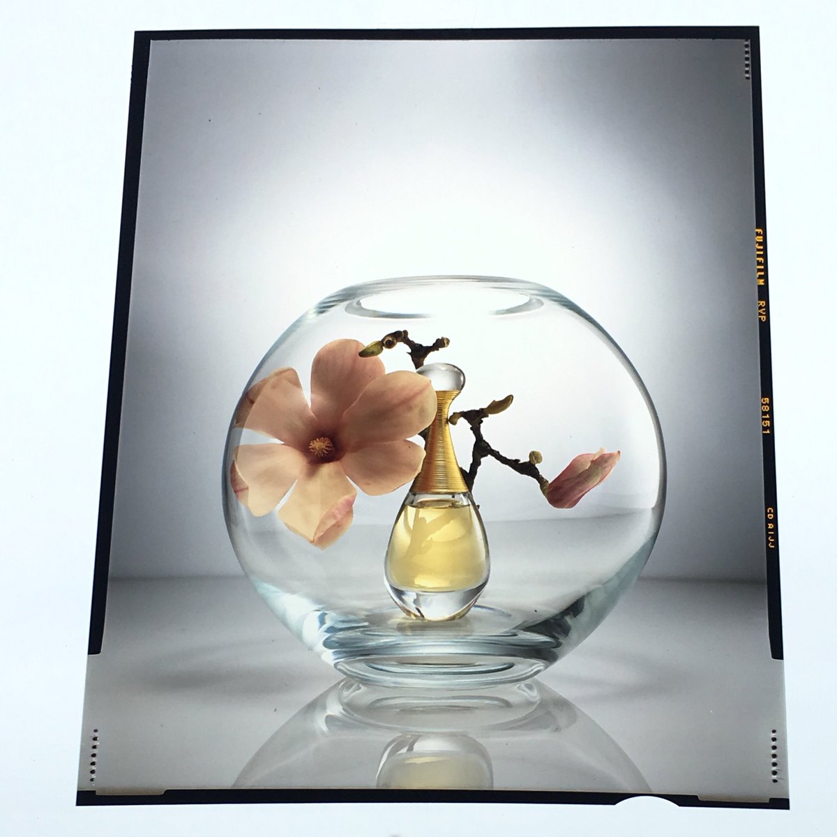 gav_pat's tweet photo. Shot 1 #throwback to a shoot I loved working on. I #commissioned #art_directed, #styled and #propped this job was - shot by #dereklomas.
•
https://t.co/8gPEsZkn3F
•
#botanicals shot with #fine #fragrance for a #campaign #photoshoot #flowers #magnolia #dior #J_adore' #tatler https://t.co/ytqO9i1Xvm