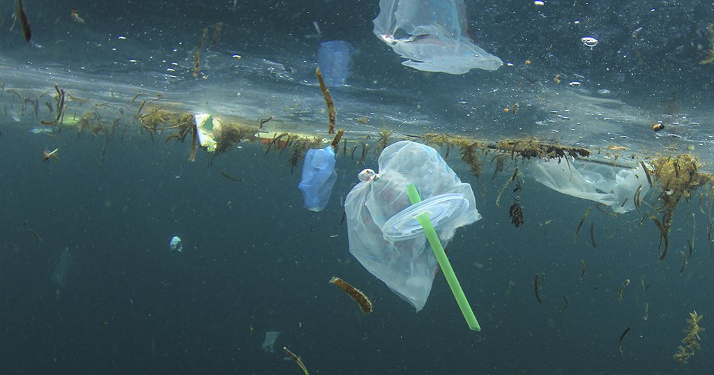 Europa dichiara guerra alla #plastica usa e getta, responsabile dell’85% dell’#inquinamento dei #mari.
Al vaglio del Parlamento e Consiglio d'Europa la proposta della Commissione.
#adiapicoltura #noplastica #ecosostenibilità 
Leggi l'approfondimento:
adiapicoltura.it/news/stop-a-ma…