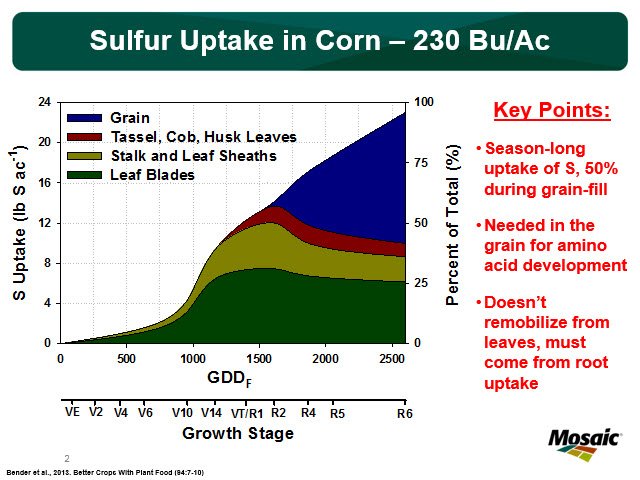 Corn Nutrient Uptake Chart