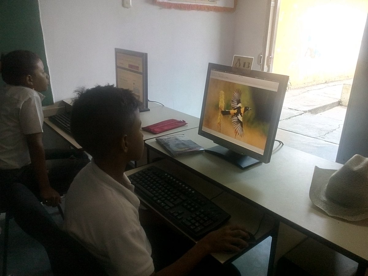 BocaneyCbit's tweet photo. #Fundabit @JauaMiranda @vane_prieto @ZECOJEDES_MPPE @FundabitCojedes @Fundabit @YoleimaMartine1 @MaryoriMolina, se culmina con la semana de los Simbolos Naturales con la participacion de niños y niñas de 6to grado utilizando como herramienta el uso del internet https://t.co/dDnSRVTPW8