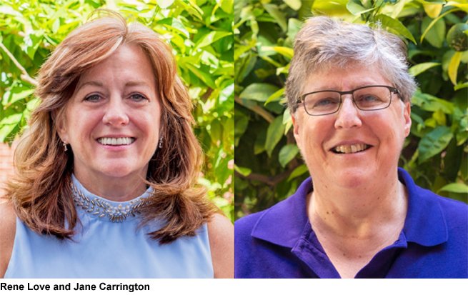 RNL nursing magazine tweet media