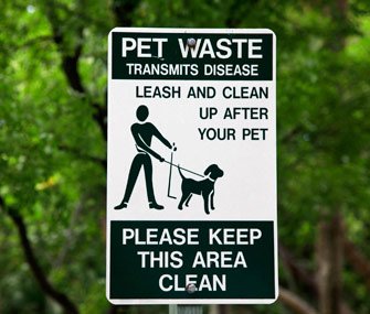 It may not be a topic you enjoy talking about, but your pet's poop can reveal a lot about his health. Learn what's normal and what's not.  ow.ly/3llx30kdsbv 
.
.
.
.
#pets #bph #belmontpet #belmontpethospital #vet #veterinarian #cats #petpoop #cat #kitten #dog #animalcare