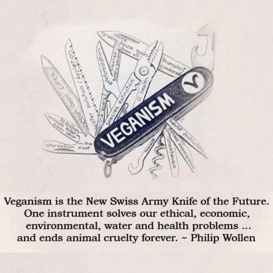 meatfreeplate's tweet photo. If everyone went plant-based or vegan, it would solve a great deal of problems. Animal agriculture is responsible for a great deal of destruction and suffering!
#animalagriculture #climatechange #govegan #vegano #plantbased #AACC #meatfree #vegan #veganlifestyle https://t.co/kJPKuSNnDC
