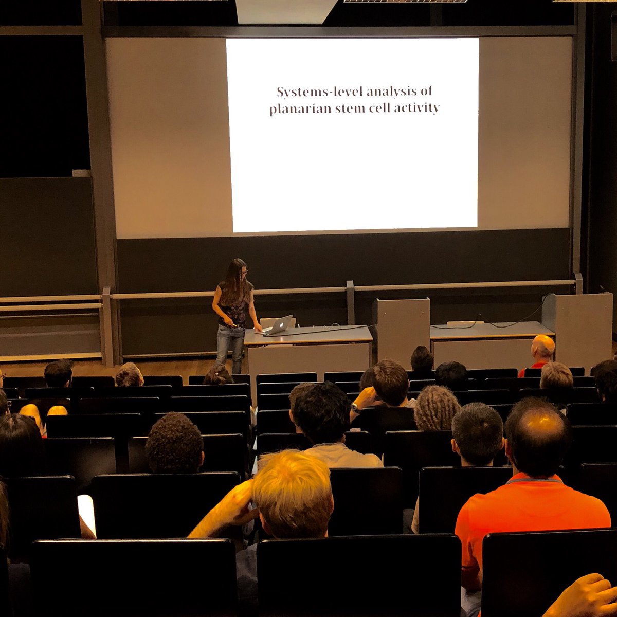 YWHsieh's tweet photo. Olga Frank telling us stories about planarian stem cell activity in @mpicbg https://t.co/NPFIfMEXII