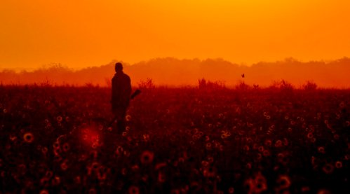 SenatorLucio's tweet image. Texas Parks and Wildlife Commission approves hunting regulation changes for 2018-19. South Zone dove hunters to see earliest opener in 7 decades: bit.ly/NewHuntingRegs #TPWCom #HuntTx via@TPWDnews