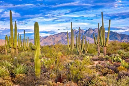 Chodgson64's tweet photo. Accelerate #SupplyChain #Labeling and #ArtworkManagement and connect with @LoftwareInc during @GS1Connect next week in Phoenix. June in Arizona, how hot can it be? (It's a dry heat!). See you there.

https://t.co/EyHMB8PrBv https://t.co/foetaw5XTq