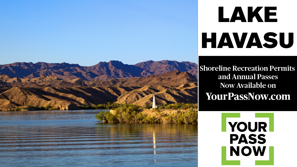 YourPassNow tweet media