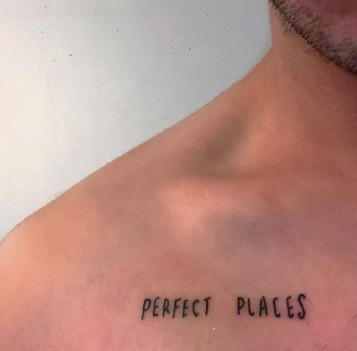 andrewnucatola's tweet photo. Happy one year to the most special and magical song ever. So happy to have it with me forever💓💥 @lorde https://t.co/hOhe6BGwns