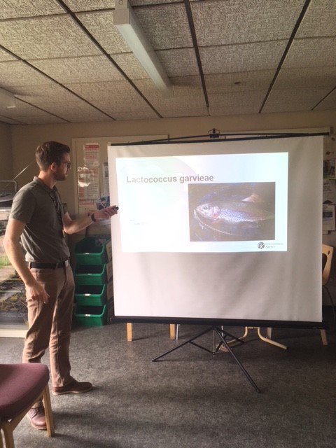 FishLab_EA's tweet photo. Today Neil and Jo gave very interesting talks to the rest of the team. We learnt about the #bacteria Lactococcus garvieae from Neil and #Monogenean parasites from Jo. Good job both! #fishlab #fishhealth #teamea https://t.co/hWsqZypHtP