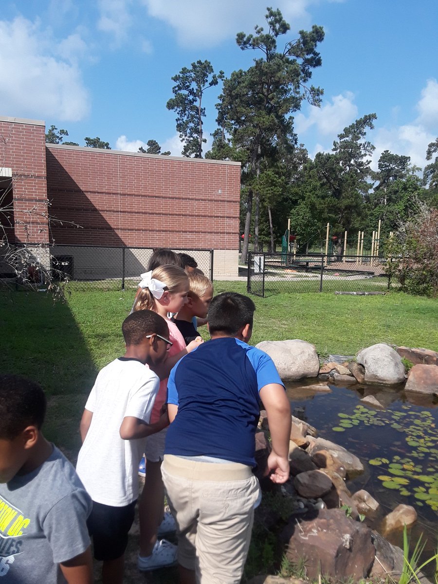 Visiting our garden one last time! 
#leopardspotting