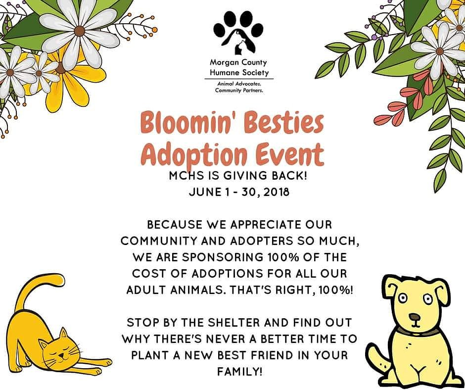 morgan county humane society ga