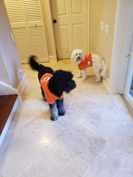 View image on Twitter