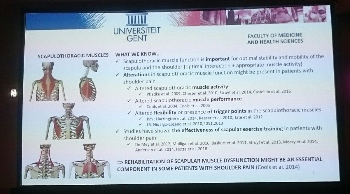 IHultenheim's tweet photo. @BirgitCastelein Nice overview to relevance of scapular treatment and exercise selection. #Nice2018 @anncools4 @EUSSERBOARD https://t.co/gSCYlzsVRz