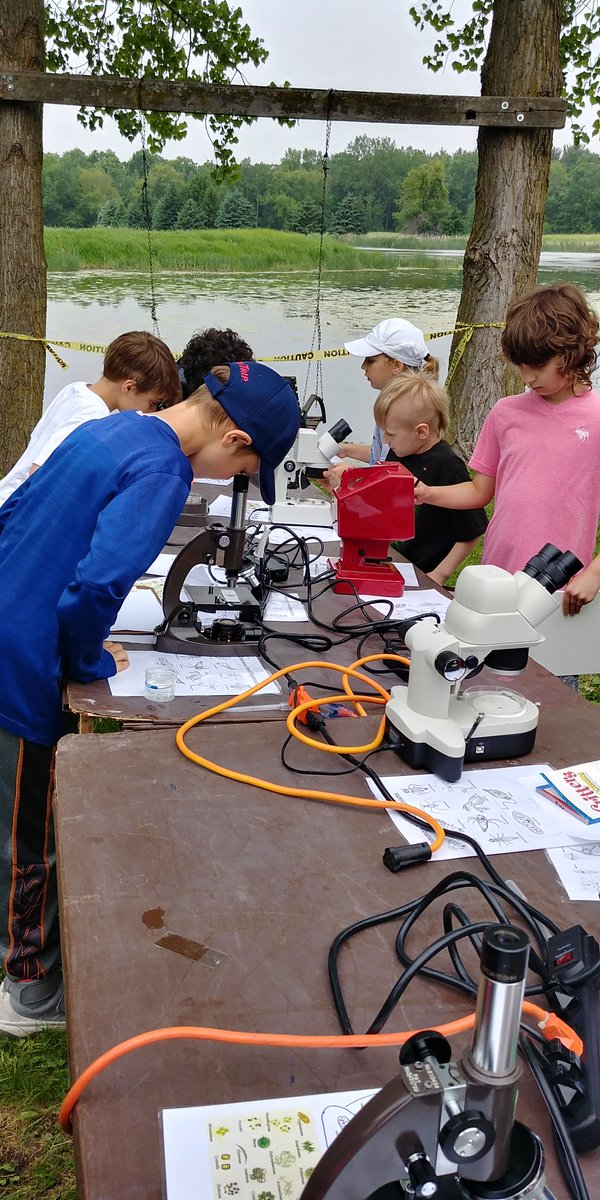 loonyteacher's tweet photo. #ripon3rd Ss recording food webs at the pond. https://t.co/waGPXttMUk