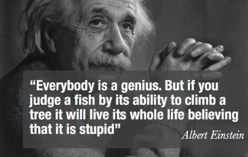 marshawright's tweet photo. YES!!! 🔥

#genius #intelligence #quote #passion https://t.co/CWhtOUVGjr