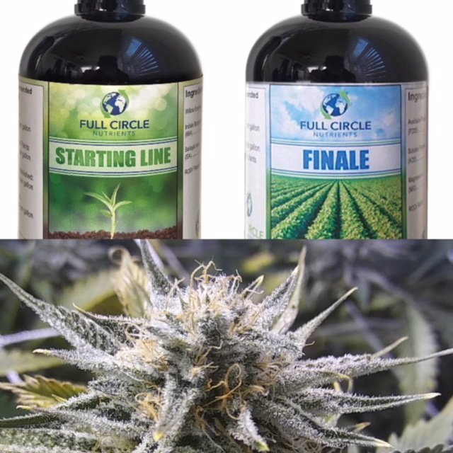 fcnutrients's tweet image. 