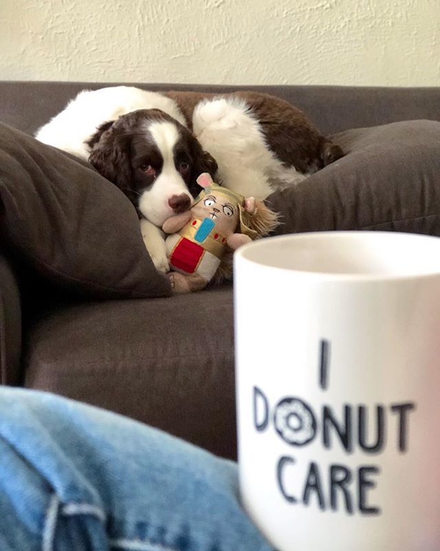 shannon333's tweet photo. Rio dgaf about #nationaldonutday. https://t.co/M9BsM3KiuQ https://t.co/kBWgxjCAM0
