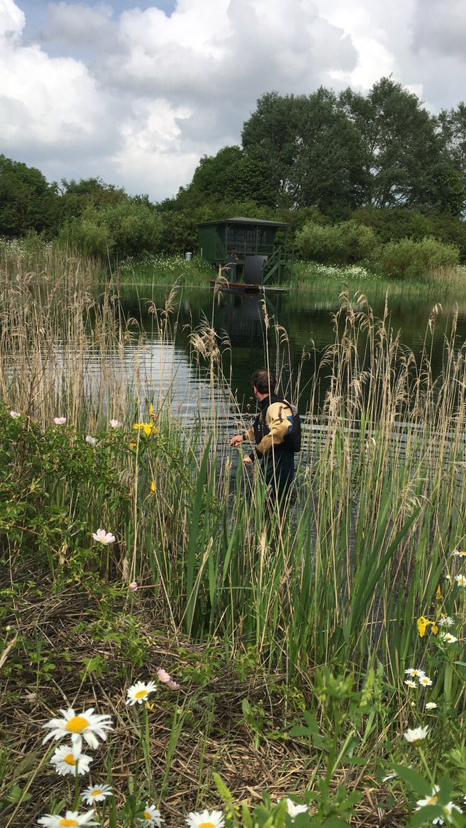 FishLab_EA's tweet photo. It’s always a good day when we get out of our lab coats and into a dry suit. Rob and Jess have been out at a local site today providing advice for controlling Argulus in a trout fishery. #fishlab #fishhealth #teamea #argulus https://t.co/IiFxxJExAo