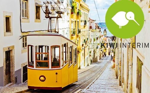 Kiwi intérim tweet media