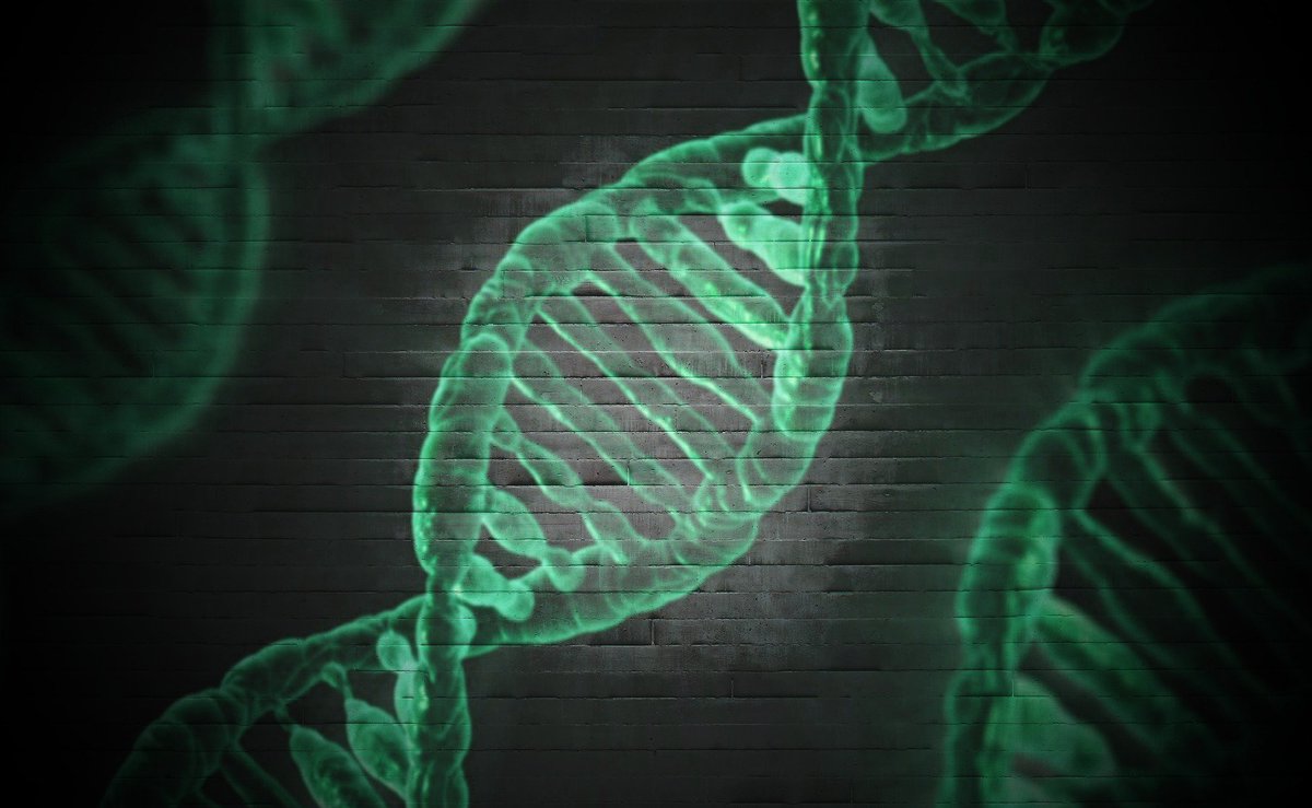 mdfernandez503's tweet photo. Gene edited foods are right around the corner, but are we prepared?  Read more @GWFoodInstitute #GMO #CRISPR #FoodInnovation https://t.co/zykUsPT98X https://t.co/CA3YkEhd3U