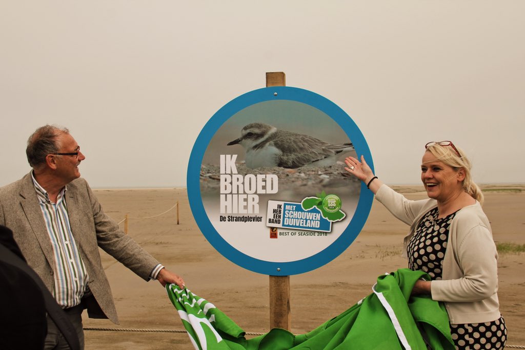 Met het onthullen van dit toffe bord is de rust voor strandplevieren op het Verklikkerstrand officieel! Meer info op mijn #boswachtersblog #staatsbosbeheer boswachtersblog.nl/aanzee/2018/05…