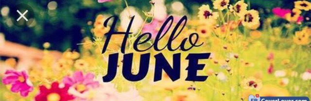 SteinKarla's tweet photo. Pinch punch it's the 1st of the month! 🌺🌺🌺 https://t.co/X2B5MHW4m6