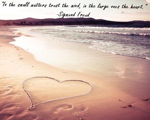 psychoanalysis_'s tweet photo. "In the small matters trust the mind, in the large ones the heart." - Sigmund Freud. #FreudQuoteFriday https://t.co/iGbmDUiiCv