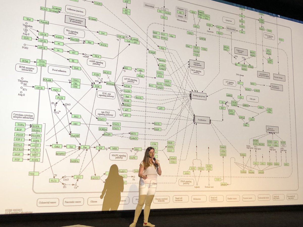 IBMResearch's tweet photo. IBM scientists talk about #AI and healthcare at the Zurich @forwardcf #forwardfestivals https://t.co/lcbfNENcz5