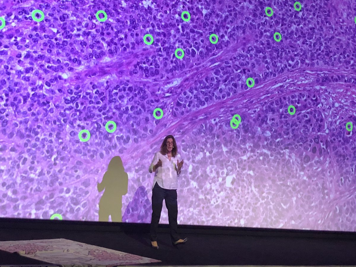 IBMResearch's tweet photo. IBM scientists talk about #AI and healthcare at the Zurich @forwardcf #forwardfestivals https://t.co/lcbfNENcz5