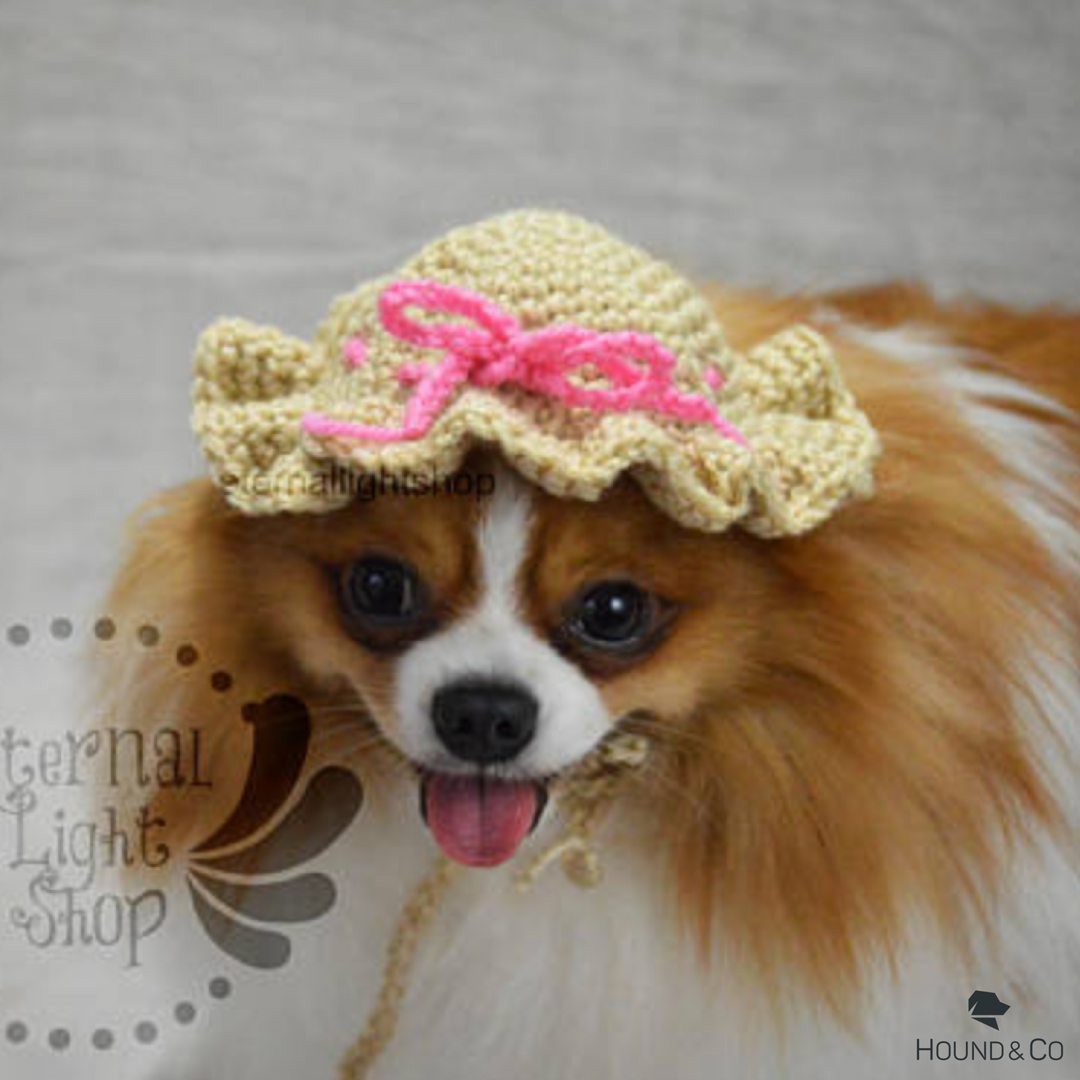 houndandco's tweet photo. Max, Bare, and Mekah are perfect little #pomeranians and the #dogsofhoundandco behind @eternalightshop. Not only are they adorable but they're also fantastic models for the hand crocheted and knitted items made by this great shop! Get them on Hound &amp; Co! https://t.co/gktQ7TXHDv https://t.co/tRsDhM4j4m