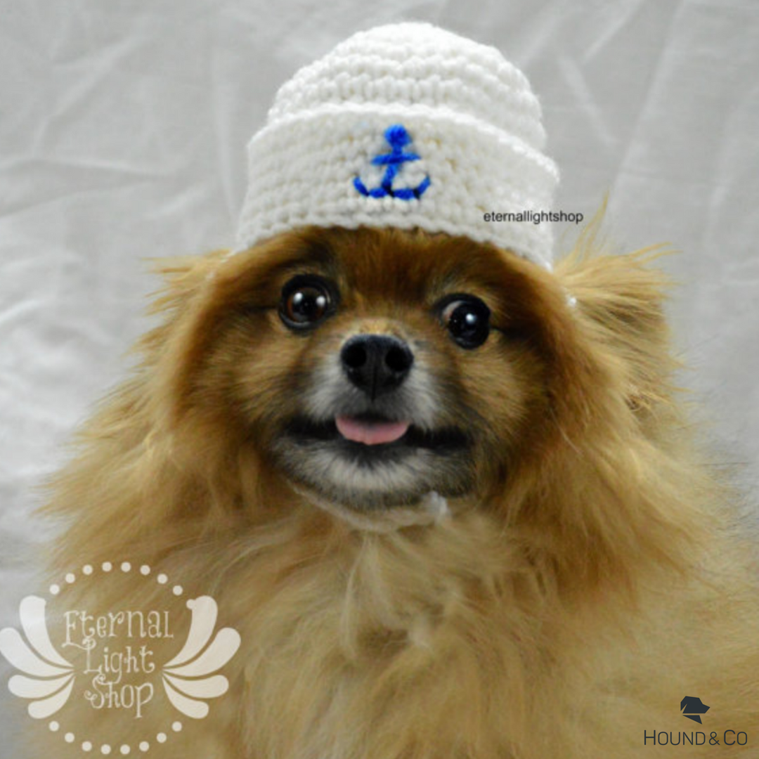 houndandco's tweet photo. Max, Bare, and Mekah are perfect little #pomeranians and the #dogsofhoundandco behind @eternalightshop. Not only are they adorable but they're also fantastic models for the hand crocheted and knitted items made by this great shop! Get them on Hound &amp; Co! https://t.co/gktQ7TXHDv https://t.co/tRsDhM4j4m