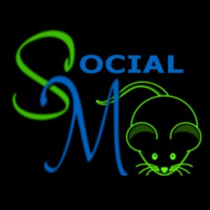 MariaKorolov's tweet photo. Social Mouse - https://t.co/iOBbtqmrIC https://t.co/HhPoFqYJW3