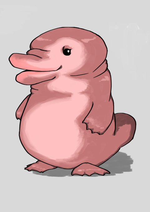 カモノハシのtwitterイラスト検索結果