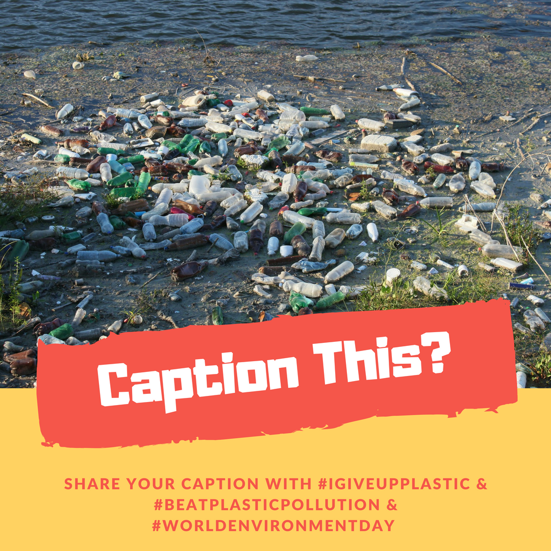 igiveupplastic's tweet photo. Caption this? How to reduce usage of #plastics with hashtag 👉👉#igiveupplastic #BeatPlasticPollution #WorldEnviromentDay 🌲🌲🌍 Best Caption gets prizes! #captioncontest #CaptionThis #INDvTPE #FridayFeeling #Kanye @WWF @swachhbharat @SadhguruJV @sonamakapoor #AllahDuhaiHai https://t.co/VBC1G2RhjP