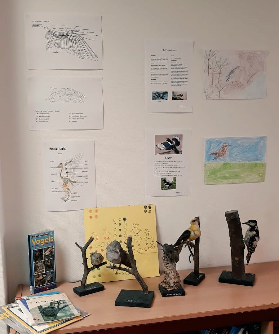 wsvwesterbroek's tweet photo. Zondag 8 juli #dorpsontbijt in #appelgaard met #vroegevogel tocht onder leiding van @Natuurmonument in #westerbroek. Kosten 10 euro opgave kan via @Aalmanshuus https://t.co/yi6aN1Cbcc