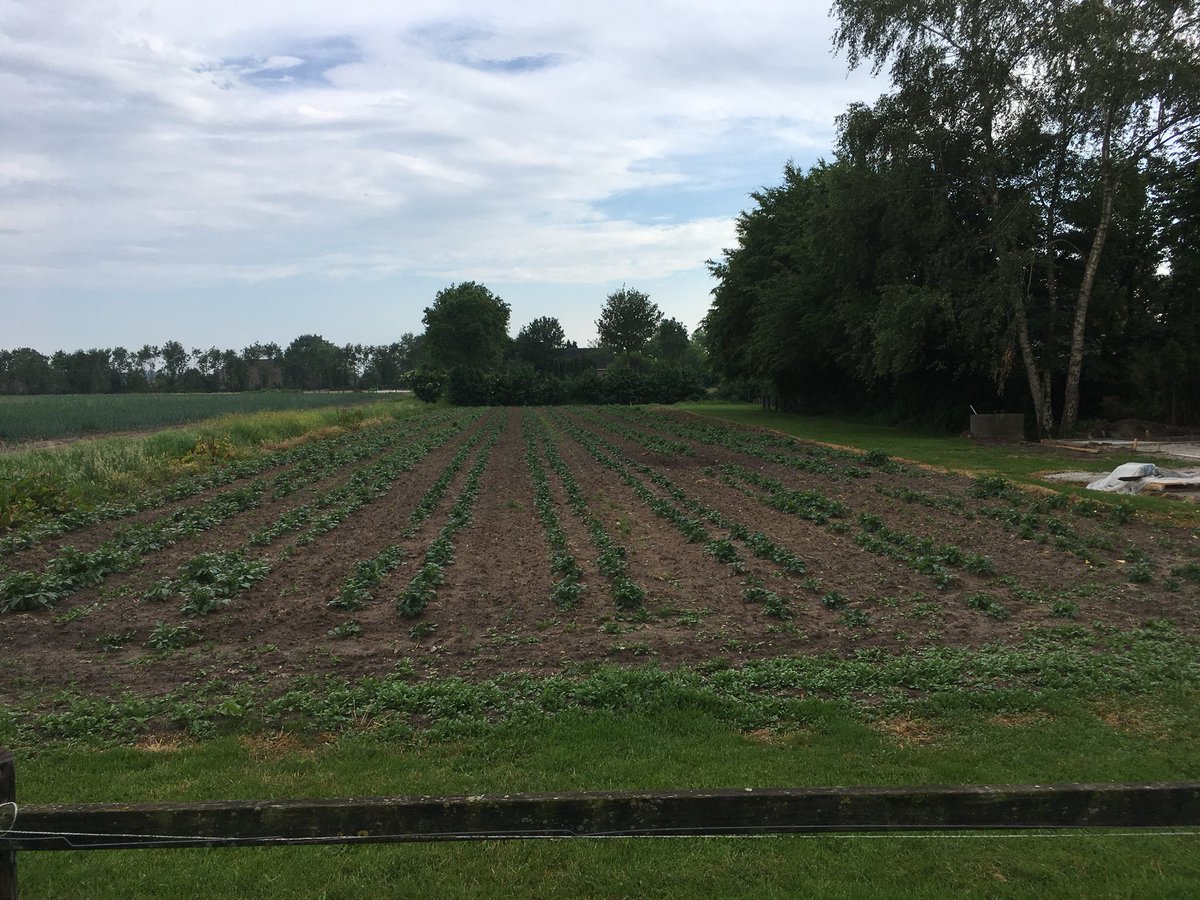 De velden liggen er weer strak bij! #corsoklooster