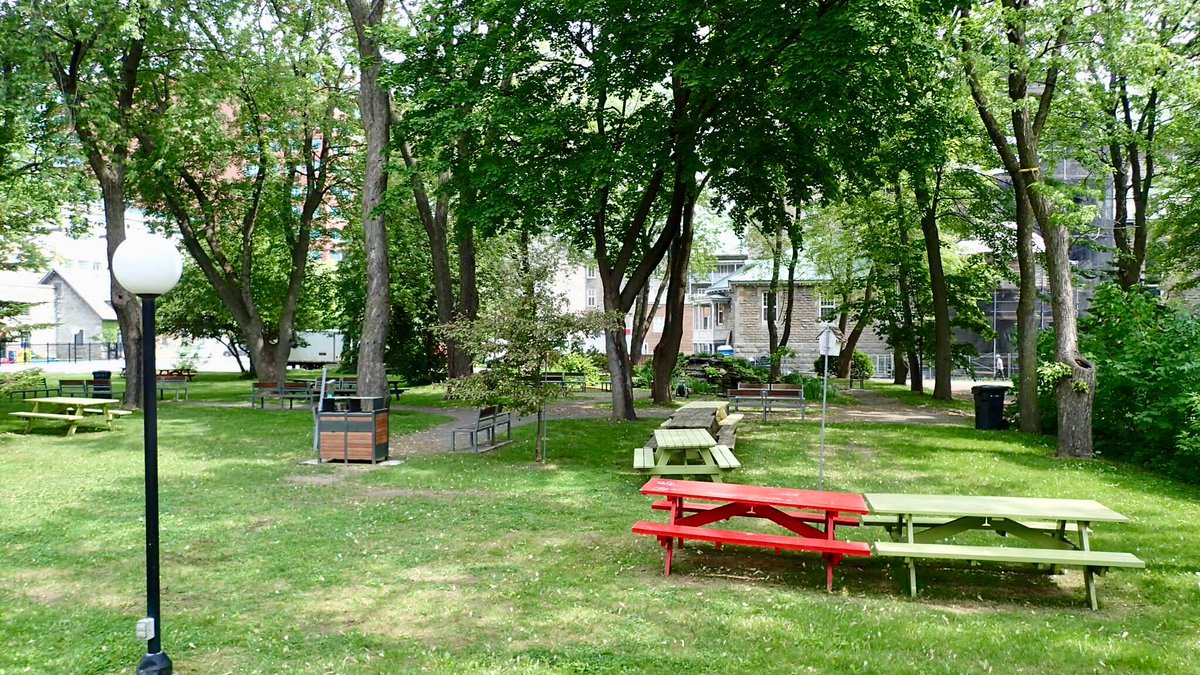 ReneSaintLouis's tweet photo. Québec annonce la construction de deux écoles primaires au centre-ville de Montréal dont l’une sur le site patrimonial des Sœurs Grises. Les résidents du quartier sont sceptiques car un espace vert sera sacrifié @le1518 @icimontreal #polmtl #polqc #csdm https://t.co/VUk6noynQy