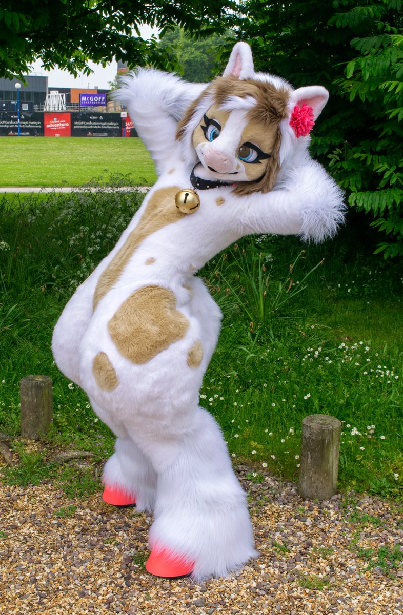 JackalBunny's tweet photo. Some of my favourite photos of @PawPrinting_Val from #CFz2018! #FursuitFriday https://t.co/WwVcIW98Ih