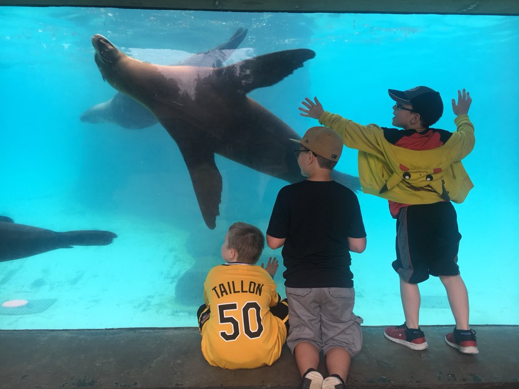 msnoelpes2's tweet photo. #fieldtripfun @PghZoo @PaynterRocks @MrsWessel_PES https://t.co/rMDNSwCV3b