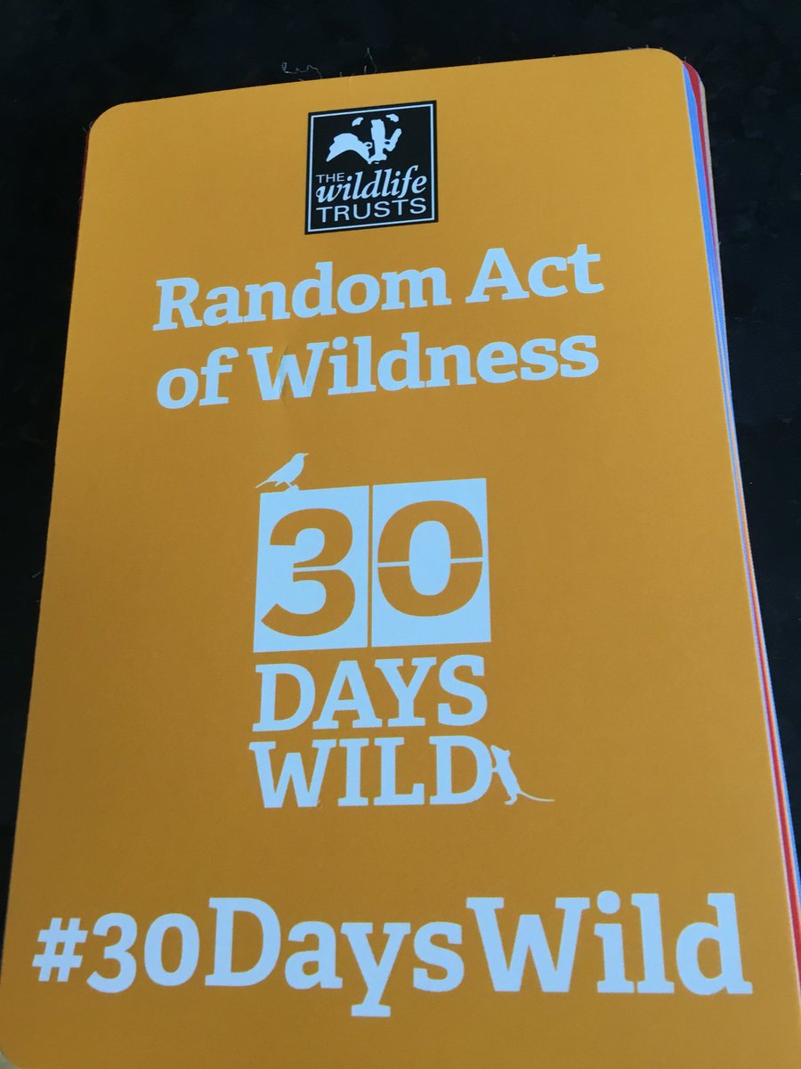 rachel_sustain's tweet image. @WildlifeTrusts 30 days wild starts today. What random act of kindness will you do every day in June to support our wildlife. Litter pick? Design a wild home? Walk in the wild? #timetodosomething #wildlifematters