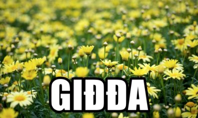 EuroMinLang's tweet photo. Word of the Day #Spring in #Saami #NorthernSaami Giđđa #Seasonsoftheyear #Europeminoritylanguages https://t.co/cgMTdMZjnG