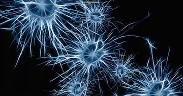 LetsFaceItCare's tweet photo. "#Study Reveals #BrainActivityPatterns Underlying #FluentSpeech"
https://t.co/uLV3h1f8nb   
#LatestHealthCareNews https://t.co/JPb3dIpXte