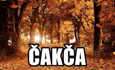 EuroMinLang's tweet photo. Word of the Day #Autumn in #Saami #NorthernSaami Čakča #Seasonsoftheyear #Europeminoritylanguages https://t.co/xGFDhuzNGg