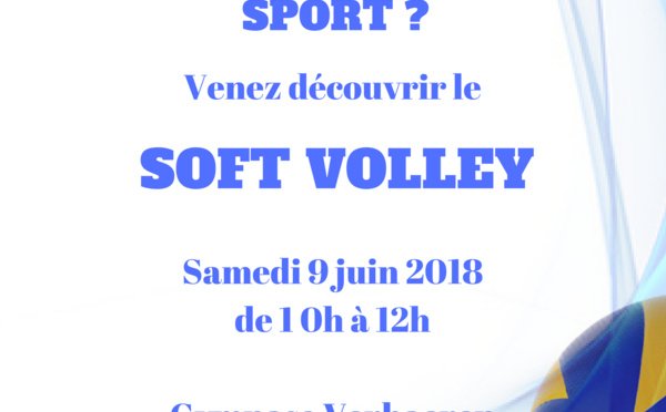 SCloudVolleyPSF's tweet photo. Samedi 9 juin 2018 - Matinée Soft Volley à Verhaeren Vous souhaitez découvrir une nouvelle pratique du volley-ball ? Alors cette matinée est faite pour vous ! Nous vous donnons rendez-vous le samedi 9 juin prochain au gymnase Verhaeren à partir de 10h... https://t.co/AP2NQPBK3X https://t.co/HJvomT957D