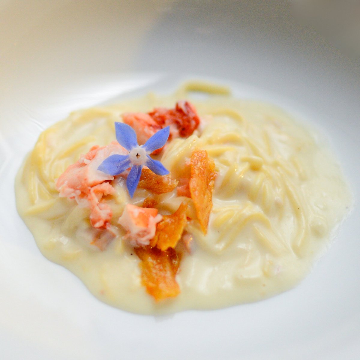 Remembering this luscious #lobster pasta from @UpTopAcres #popup last summer 😎📸: @Helianthaphoto #dceats #forkmonkeyclub #theundergroundfoodnetwork #foodporn #eatlocal #eatbeautiful