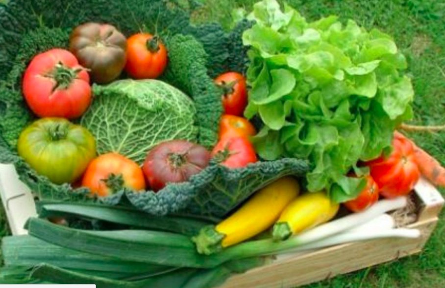 Diffusis's tweet photo. Nos astuces pour manger mieux sans se ruiner
#Wanteeed #Astuces #BonPlan
https://t.co/nqiN1dRIqP via @LeParisienConso https://t.co/Xb6e3X2tW0