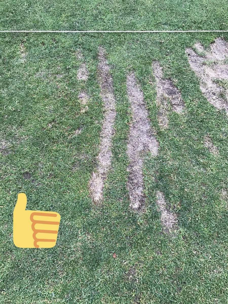 dyndagolf's tweet photo. PSA Some get it. Some don't. Please do the strips #conserveturf https://t.co/lxDVjYn3RO